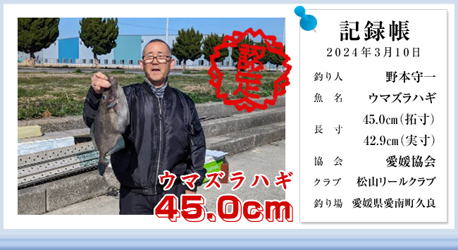 { Q R[Nu E}YnM 45.0 310 Q쒬v